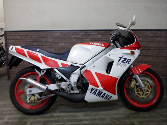 Yamaha TZR250